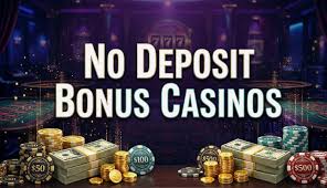 No Deposit Free Spins Your Guide to Maximizing Casino Fun